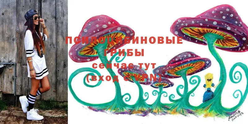 ОМГ ОМГ онион  Поворино  Псилоцибиновые грибы Cubensis 